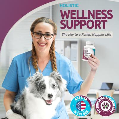 Peanut Butter HMR Lignans Dog Hormone Supplement, 20 mg, 90 count