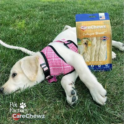 CareChewz 6 to 7-inch Collagen Braids Natural Flavored Dog Hard Chews, 15 count