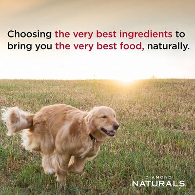 Naturals Large Breed Adult Lamb Meal & Rice Formula Dry Dog Food, 80-lb bundle