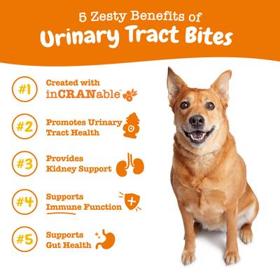 Urinary Tract Bites Bacon Flavored Soft Chews Cranberry Bladder Kidney Supplement for Dogs, 90 count