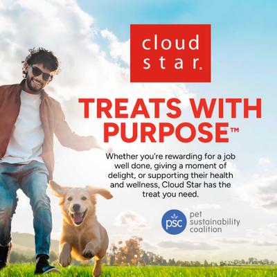 Buddy Softies Holiday Treats Gingerbread Flavor Soft & Chewy Dog Treats, 6-oz bag