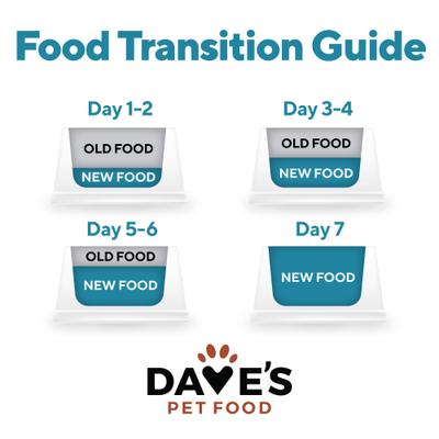 Skin & Coat Support Chicken & Sweet Potato Recipe Pate Wet Canned Dog Food, 13.2-oz can, case of 12