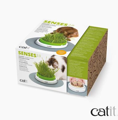 Senses 2.0 Cat Grass Planter