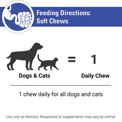 Protegrity GI Probiotics Soft Chews Dog & Cat Supplement, 45 count