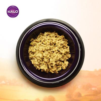 Bundle: Halo Holistic Garden of Vegan Canned Food + Healthsome Garden of Vegan Peanut n’ Pumpkin Dog Biscuit Treats