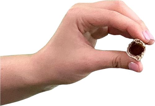 Smoked Gullet Sticks12-inch Dog Treats, 5 count