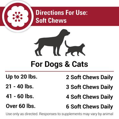 Allergy Skin & Coat Soft Chews Dog & Cat Supplement, 90 count
