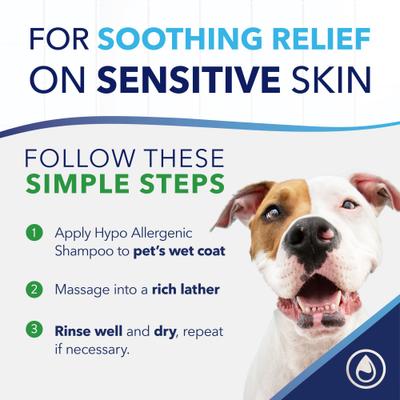 OxyMed Hypoallergenic Gentle Itchy Skin Relief Dog & Cat Spray, 8-fl oz bottle