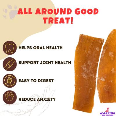 Backstrap Beef Tendon Dog Treats, 8-oz bag
