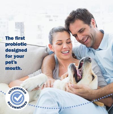 Probiotic Dog Oral Care Powder, 1-oz bottle