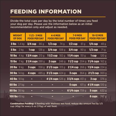 CORE Wholesome Grains Puppy High Protein Dry Dog Food, 4-lb bag