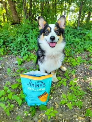 Dog Dental Chew Treat, Small, 20 count