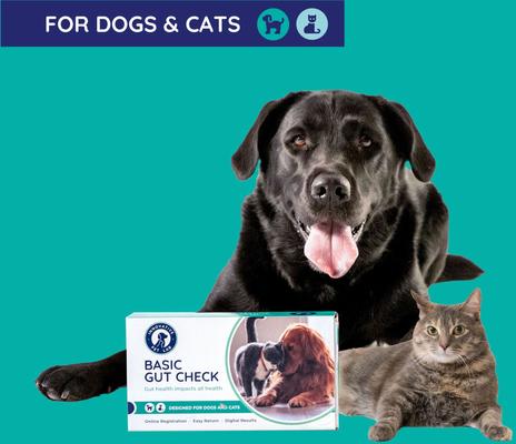 Basic Dog & Cat Gut Check Kit