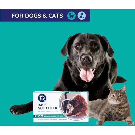 Basic Dog & Cat Gut Check Kit