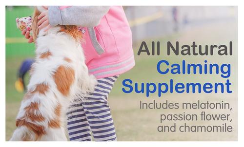 Calm Stress & Anxiety Relief Melatonin Dog Supplement, 60 count