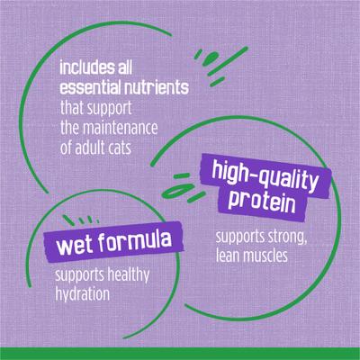 Indoor Homestyle Turkey Dinner Canned Cat Food, 5.5-oz, case of 24