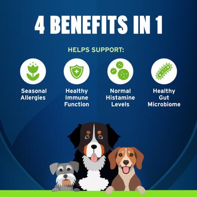 Allergy & Immune+ Supplement for Dogs, 60 count