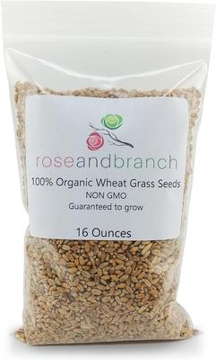Organic Wheat Cat Grass Seeds, 16-oz pouch