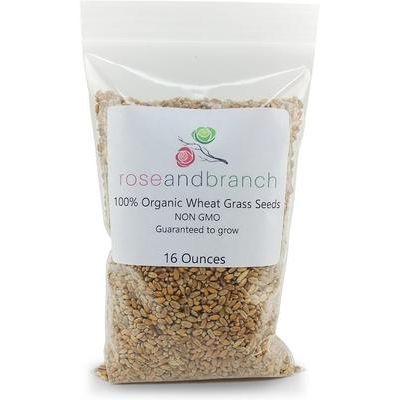 Semillas de pasto de trigo orgánico para gatos, bolsa de 16 oz