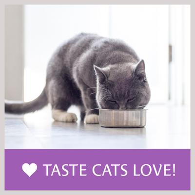 Chicken & Salmon Flavor Dry Cat Food, 16-lb bag