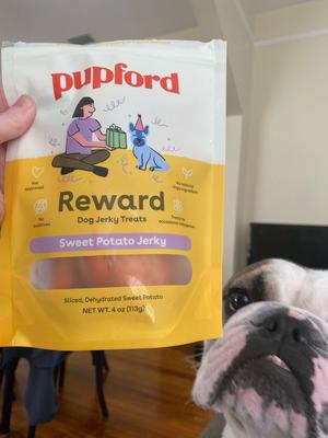 Sweet Potato Natural Jerky Dog Treats, 4-oz bag