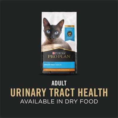 Bundle: Purina Pro Plan Focus Adult Urinary Tract Health Formula Dry Food+ Seafood Favorites Variety Pack Canned Cat Food