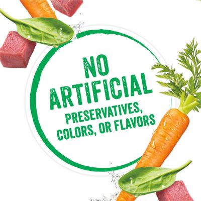 Infused Pate with Real Lamb, Carrots & Spinach Wet Dog Food, 3-oz can, case of 12