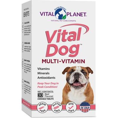 Vital Dog Multi-Vitamin Beef Flavor Powder Dog Supplement, 2.6-oz jar
