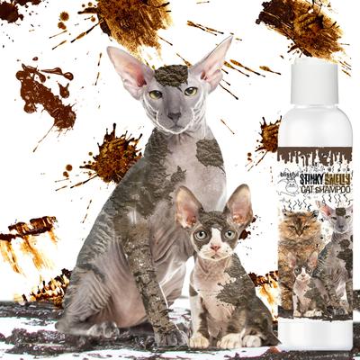 Dirty Smelly Cat Shampoo, 4-fl oz bottle