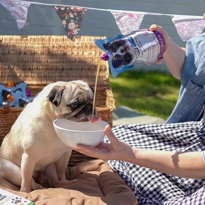 Prebiotic Drink Duck Flavored Liquid Digestive Supplement for Dogs, 500-mL pouch, case of 6