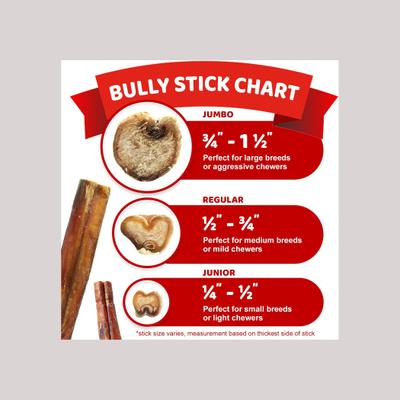Bully Sticks - Premios jumbo para perros de 6 pulgadas, 10 unidades