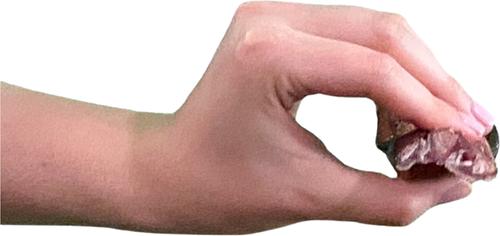 12-inch Braided Bully Stick Dog Treat