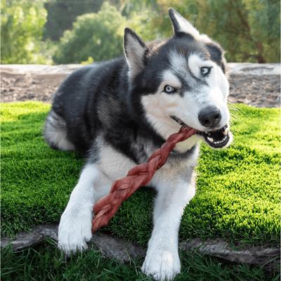 Golosina para perros Bully Stick trenzada de 12 pulgadas