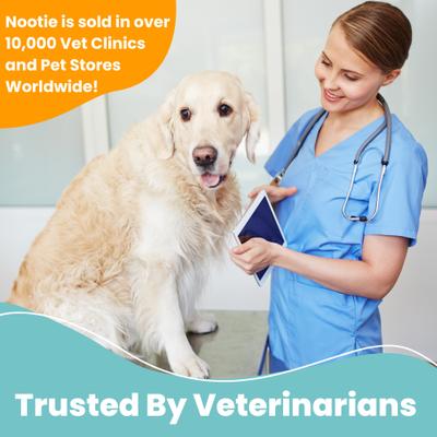 Medicated Antimicrobial Dog Shampoo, 8-fl oz bottle