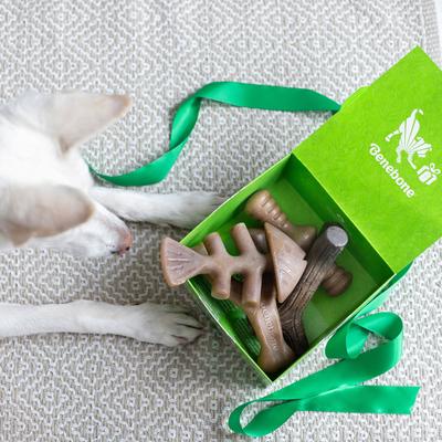 Bundle: Virbac C.E.T. VeggieDent Fr3sh Tartar Control Chews + Benebone Multipack Durable Chew Toy for Dogs