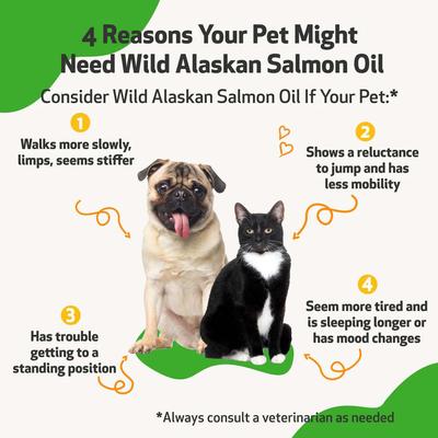 Wild Alaskan Salmon Oil Liquid Supplement for Dogs, 16-oz bottle