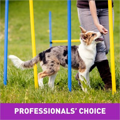 Tricky Trainers con premios crujientes de hígado para perros, bolsa de 8 oz