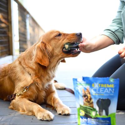 Extreme Clean Brushless Dog Toothpaste, Large, 18-oz bag