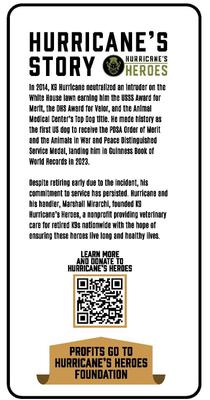 Hurricane Bites Beef Flavor Dog Chew Treats, 12-oz bag