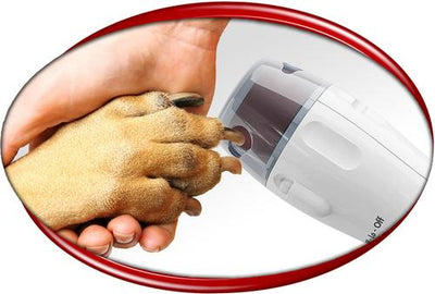 Replacement Rollers, 6 count