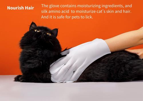 Pet Cleaning Gloves & Wipes, 10 count