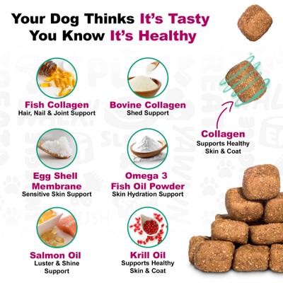 Duck Flavored Skin & Coat Dog Supplement, 225 count