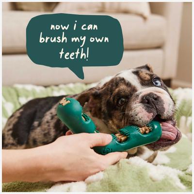 Bite n' Brush Refill Grain-Free Chicken Sticks Adult Dental Dog Chew Treats, 8-oz bag