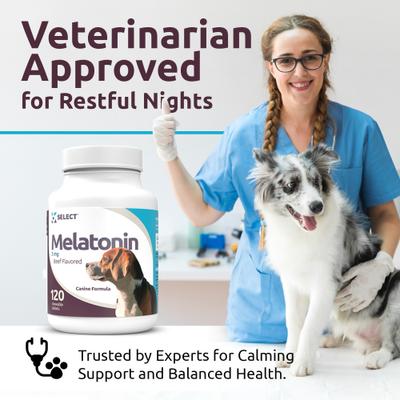 Melatonin Beef Flavor Calming Dog Supplement, 3-mg, 120 count