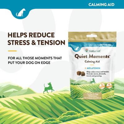 Quiet Moments Poultry Flavored Soft Chew Calming Supplement for Dogs, 1.3-oz bag