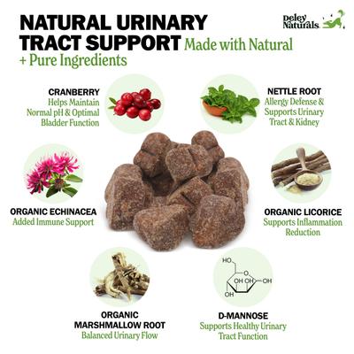 Advanced Urinary Tract Chicken Flavor Dog Supplement, 17-oz Canister, 120 Count