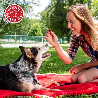 Meatball BBQ Beef Soft & Chewy Dog Treats, 7-oz bag