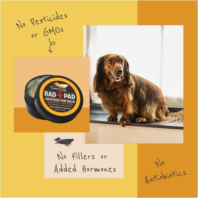 Rad Pad Paw Balm for Dogs & Cats, 2-oz jar