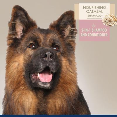 Champú y acondicionador para perros y gatos Magic Coat Professional Series, botella de 16 onzas líquidas