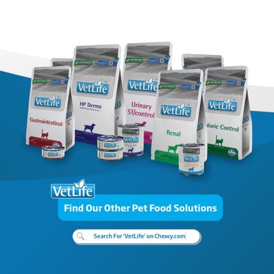 Hydrolyzed Protein Derma Canine Wet Dog Food, 10.58-oz can, case of 6